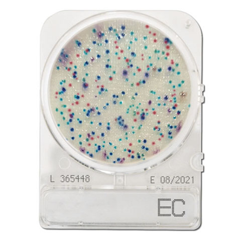 Compact Dry EC (E. coli & Coliform)