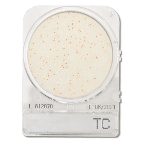 Compact Dry TC (Total Viable Count)