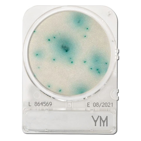 Compact Dry YM (Yeast & Mold)