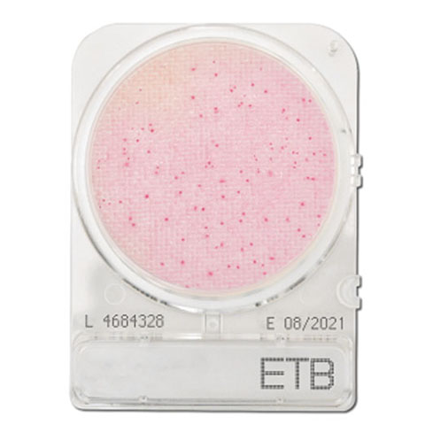 Compact Dry ETB (Enterobacteriaceae)