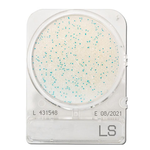Compact Dry LS (Listeria species)
