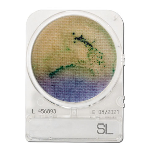 Compact Dry SL (Salmonella)