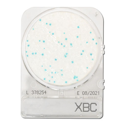 Compact Dry BC (Bacillus Cereus)