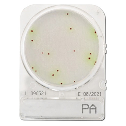 Compact Dry PA (Pseudomonas Aeruginosa)