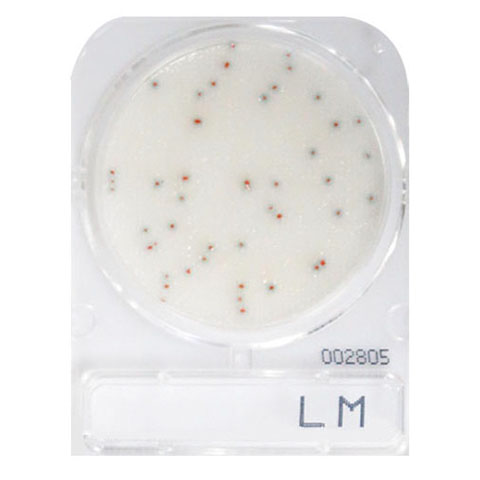 Compact Dry LM (Listeria Monocytogenes)