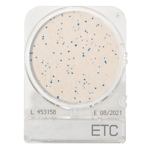 Compact Dry ETC (Enterococci)