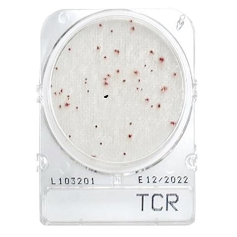 Compact Dry TCR (Total Viable Count Rapid)
