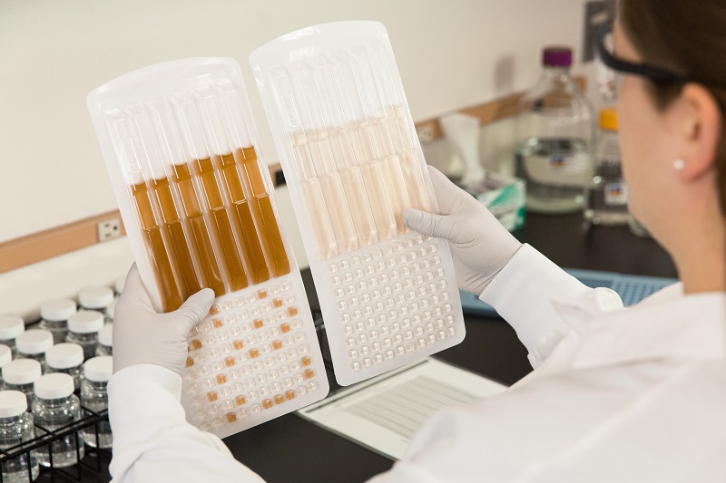 [NEWS] Legionella Pneumophila Test Published as ASTM International Standard