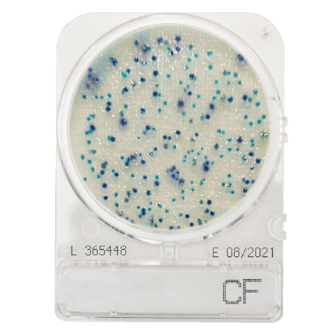 Compact Dry CF (Coliform)